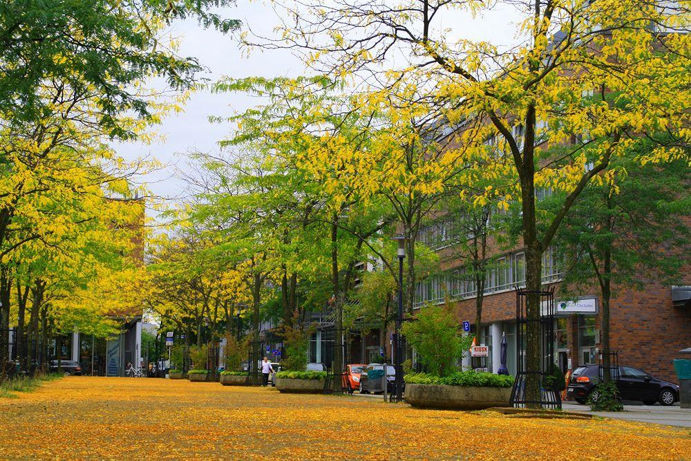 Essen City Suites Bagian luar foto